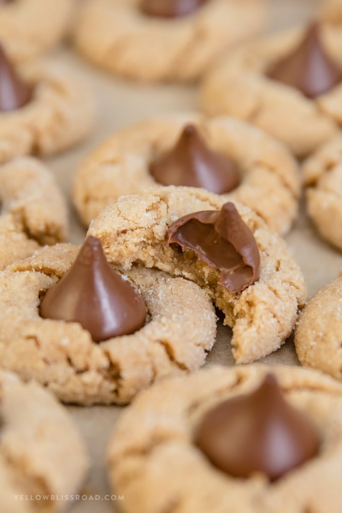 Peanut Butter Blossoms are a classic peanut butter cookie that's thick and chewy with a big chocolate kiss on top. They are perfect for the holidays! Close up of a peanut butter blossom cookie with a bite taken out of it.