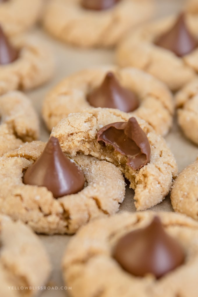 Close up of a peanut butter blossom cookie with a bite taken out of it.