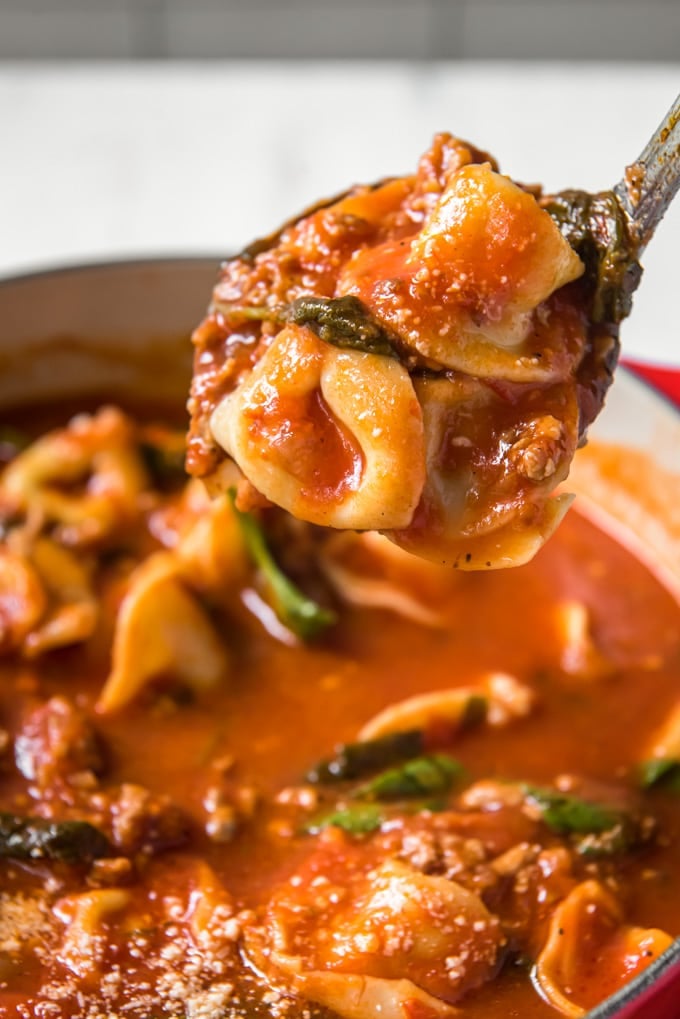 A ladle holding a scoop of tortellini tomato soup