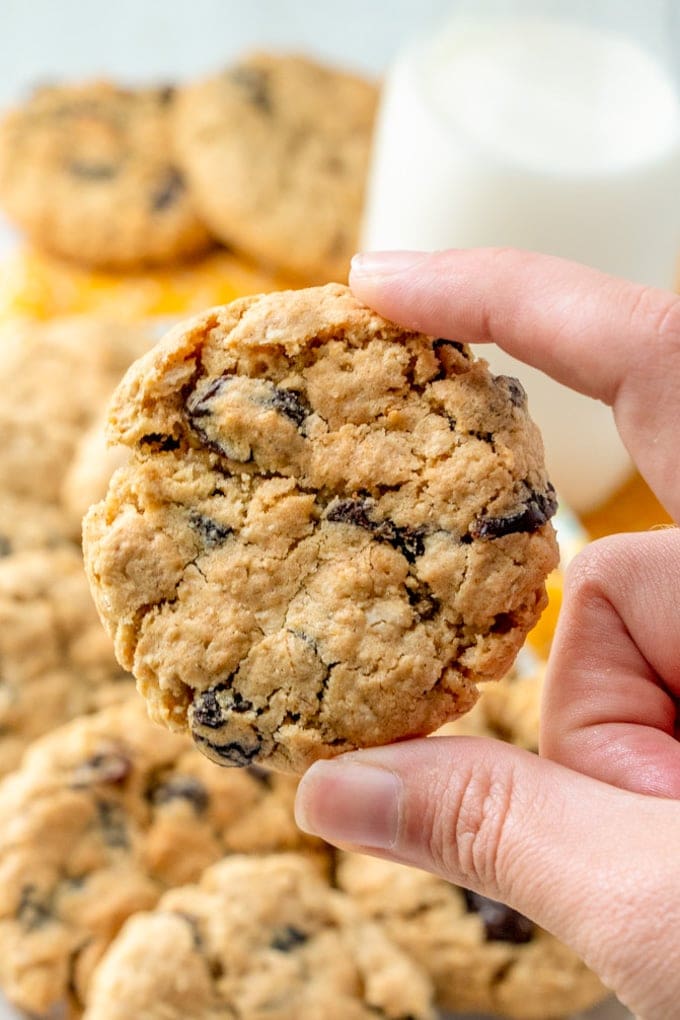 A hand holding an oatmeal raisin cookie.
