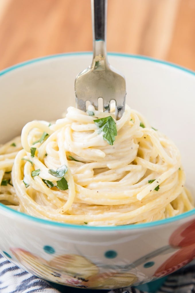 Four cheese spaghetti pasta in a bowl twirled by a fork