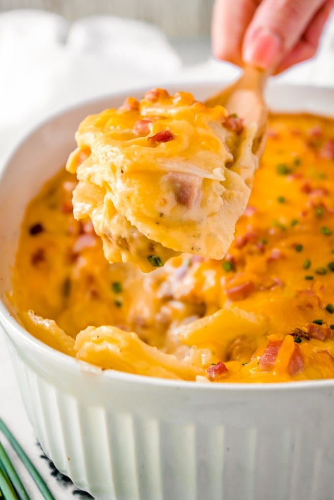 A wooden spoon holding a serving of the Cheesy Scalloped Potatoes and Ham Casserole 