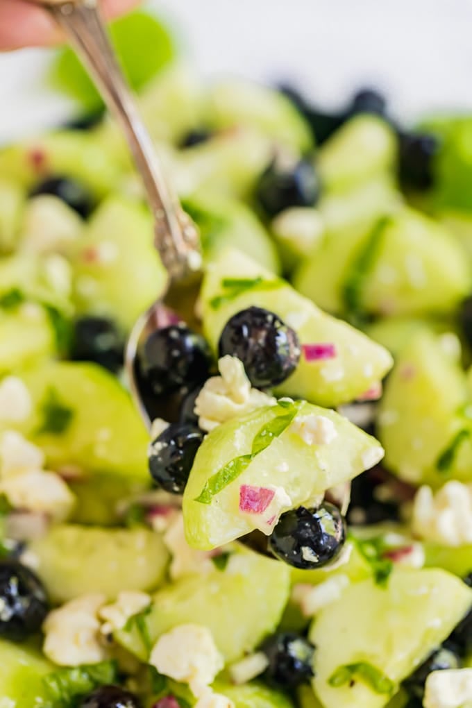 A close up image of a spoonful of cucumber salad with blueberries