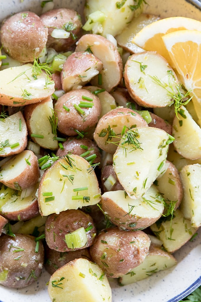 Lemon Herb Red Potato Salad is full of tender potatoes and tons of flavor! Made with an oil based lemon herb dressing and no mayo, it's perfect for summer. A close up of red potatoes with lemon and herbs