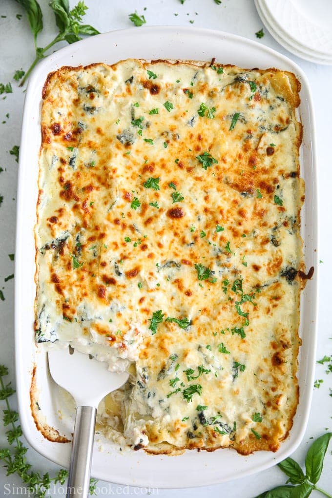 This easy Chicken Alfredo Lasagna is made with rotisserie chicken, alfredo sauce, and mozzarella cheese. This recipe will please anyone's tastebuds! #lasagna #chickenlasaga #chickenalfredo #whitelasagna Photo of Chicken Alfredo Lasagna in a casserole dish