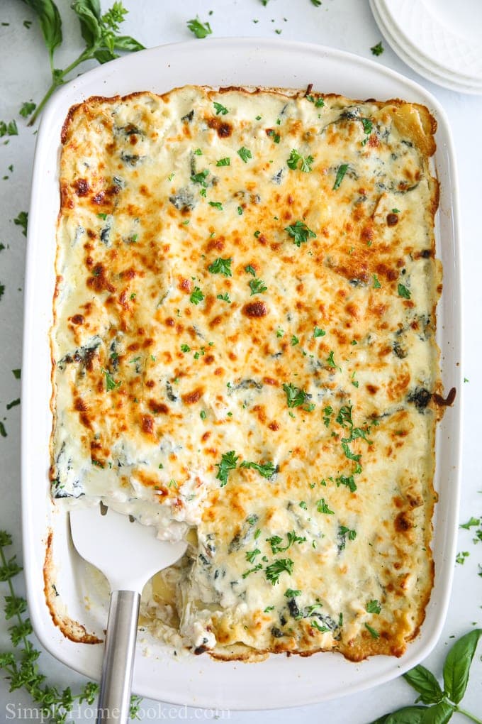 Photo of Chicken Alfredo Lasagna in a casserole dish