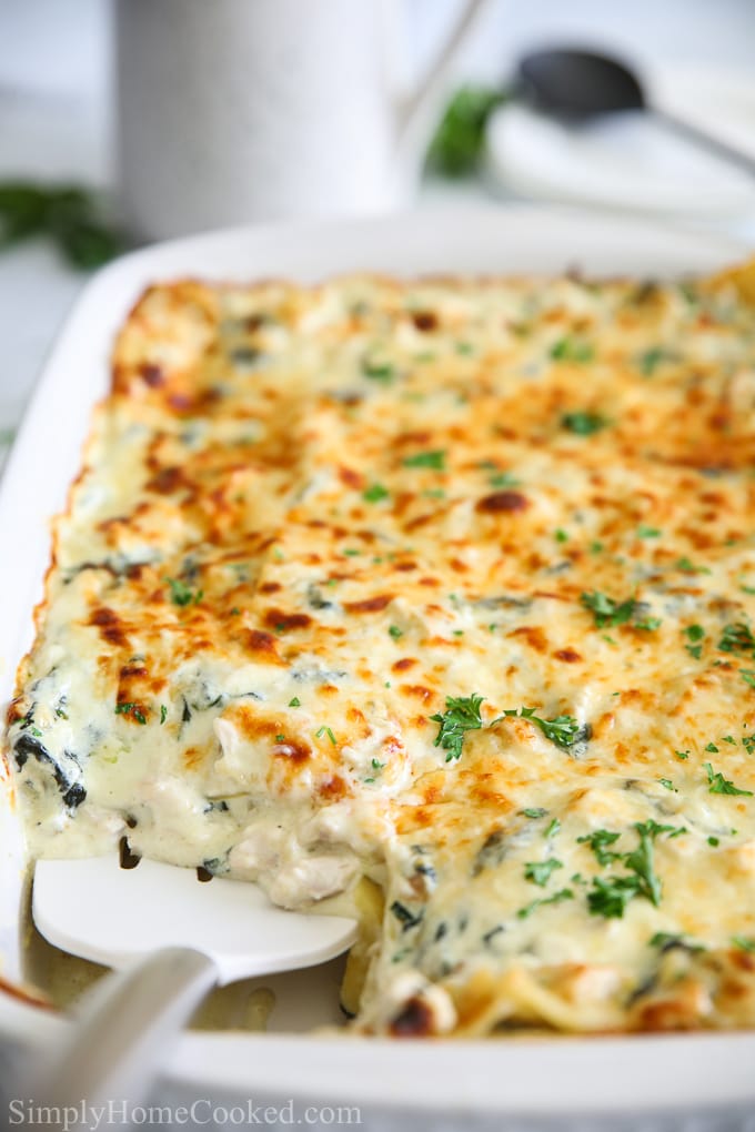close up image of Chicken Alfredo Lasagna with lots of cheese
