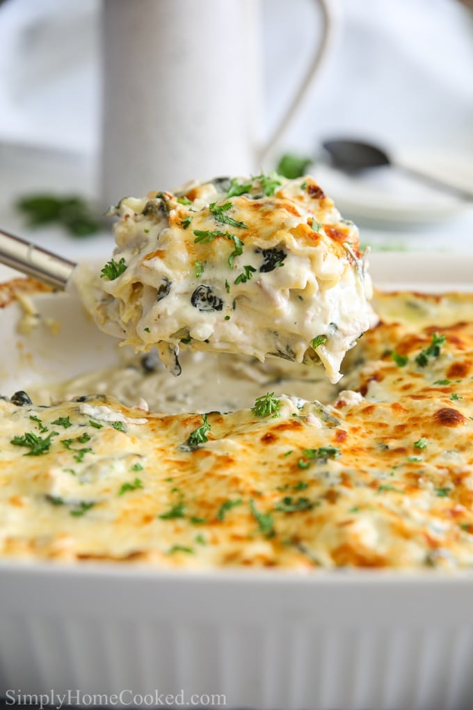 close up image of Chicken Alfredo Lasagna with chopped parsley on top 