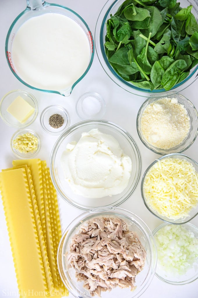 This easy Chicken Alfredo Lasagna is made with rotisserie chicken, alfredo sauce, and mozzarella cheese. This recipe will please anyone's tastebuds! #lasagna #chickenlasaga #chickenalfredo #whitelasagna overhead image of ingredients for Chicken Alfredo Lasagna