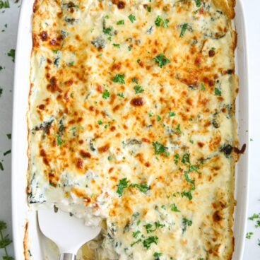 Casserole dish filled with Chicken Alfredo Lasagna