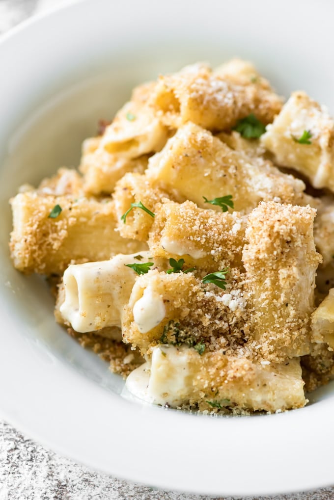 Cheesy rigatoni in a bowl topped with breadrumbs