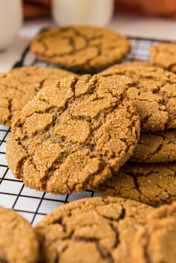 Close up of molasses cookies