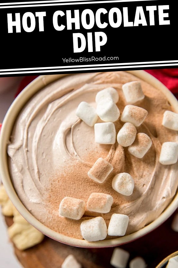 Easy Chocolate Dip (VIDEO) - A Spicy Perspective