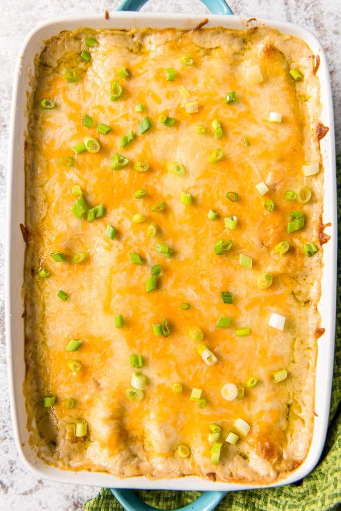 An overhead shot of a pan of creamy chicken enchiladas