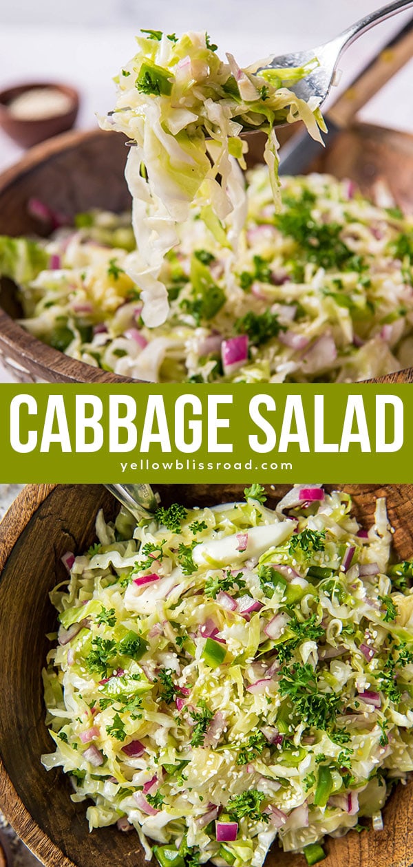 Simple Cabbage Salad Recipe YellowBlissRoad healthy-cabbage-salad-with-orange-lime-dressing-cabbage-salad-recipes