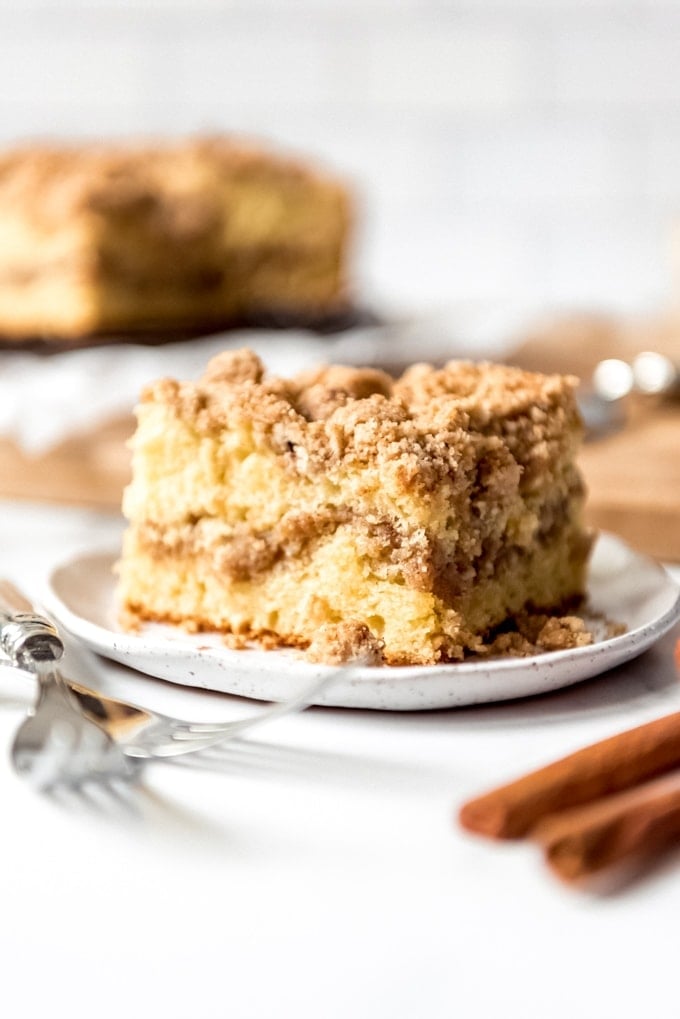 An image of a slice of cinnamon cake on a plate.