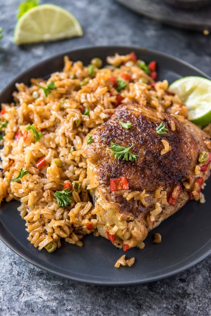 a plate with rice and a chicken thigh