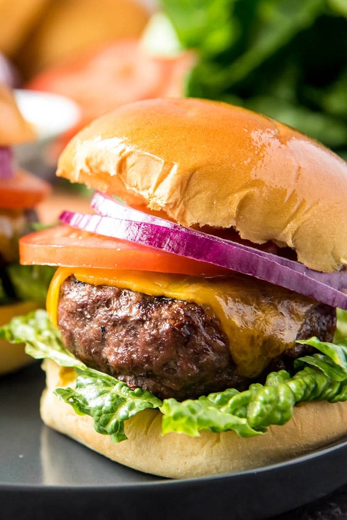 A close up of a hamburgers on a hamburger bun, with lettuce, tomato and red onion