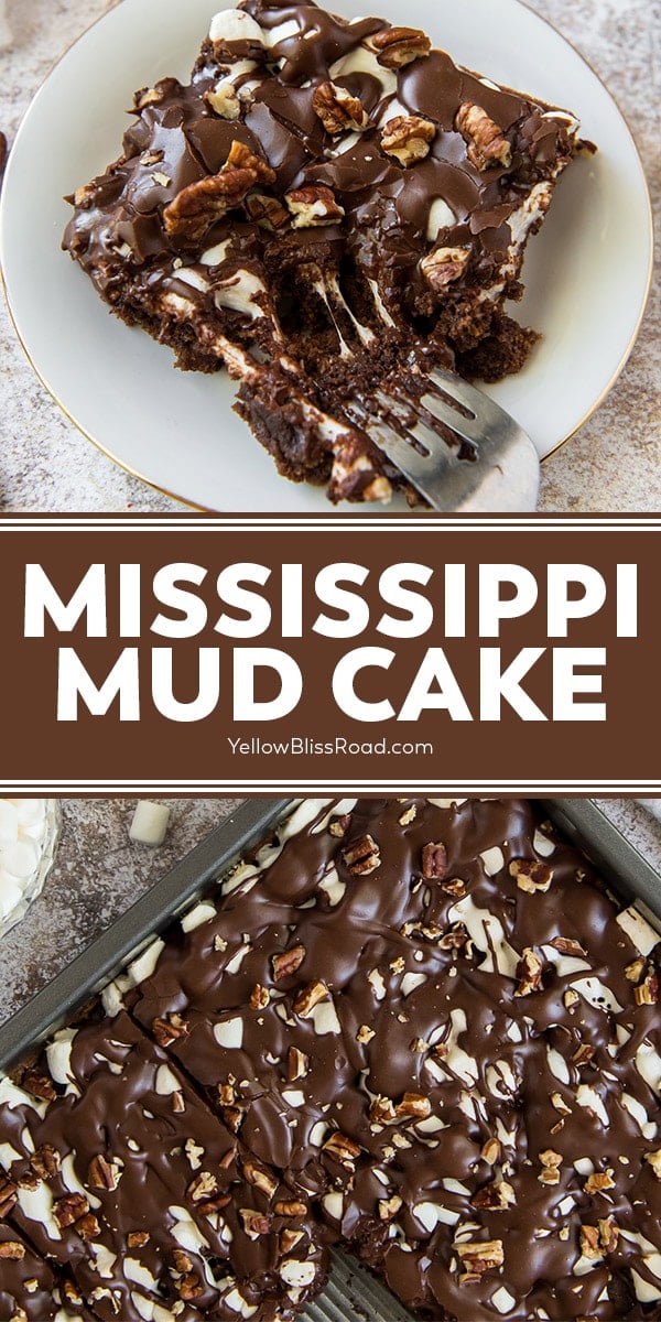 Best Mississippi Mud Cake | YellowBlissRoad.com