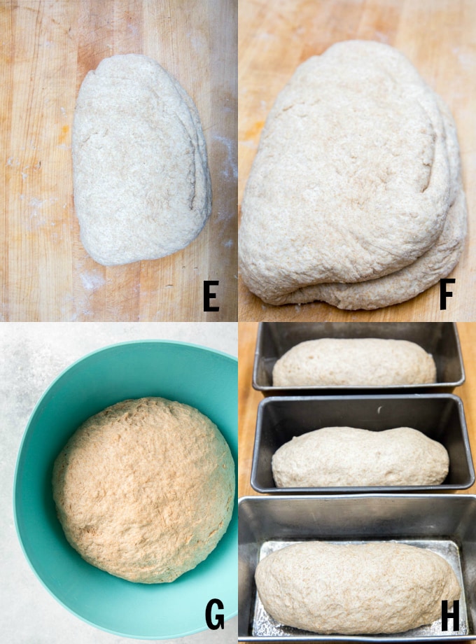 kneading whole wheat bread on wooden cutting board