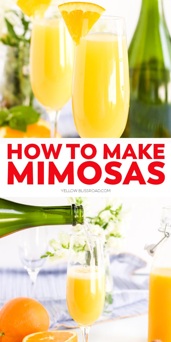 collage of mimosa images with text for pinterest