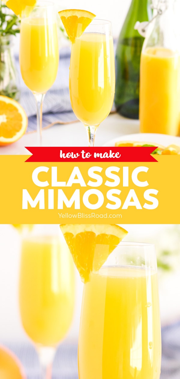 collage of mimosa images with text for pinterest