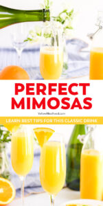 collage of mimosa images with text for pinterest