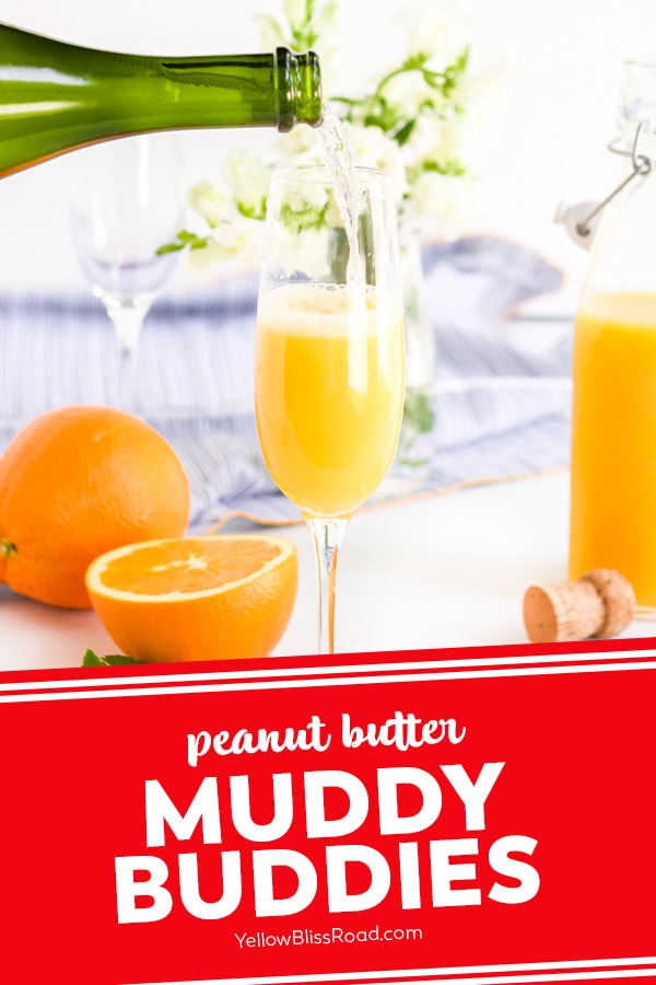 mimosa images with text for pinterest