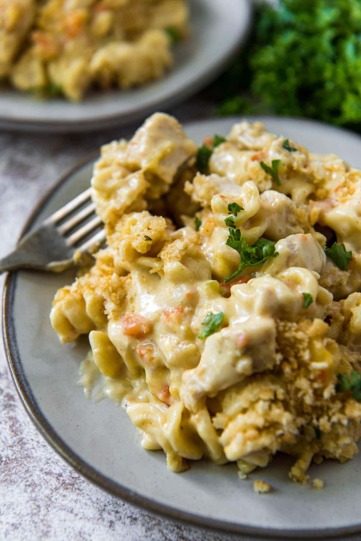 a white plate with gray border, creamy sauce with chicken and pasta