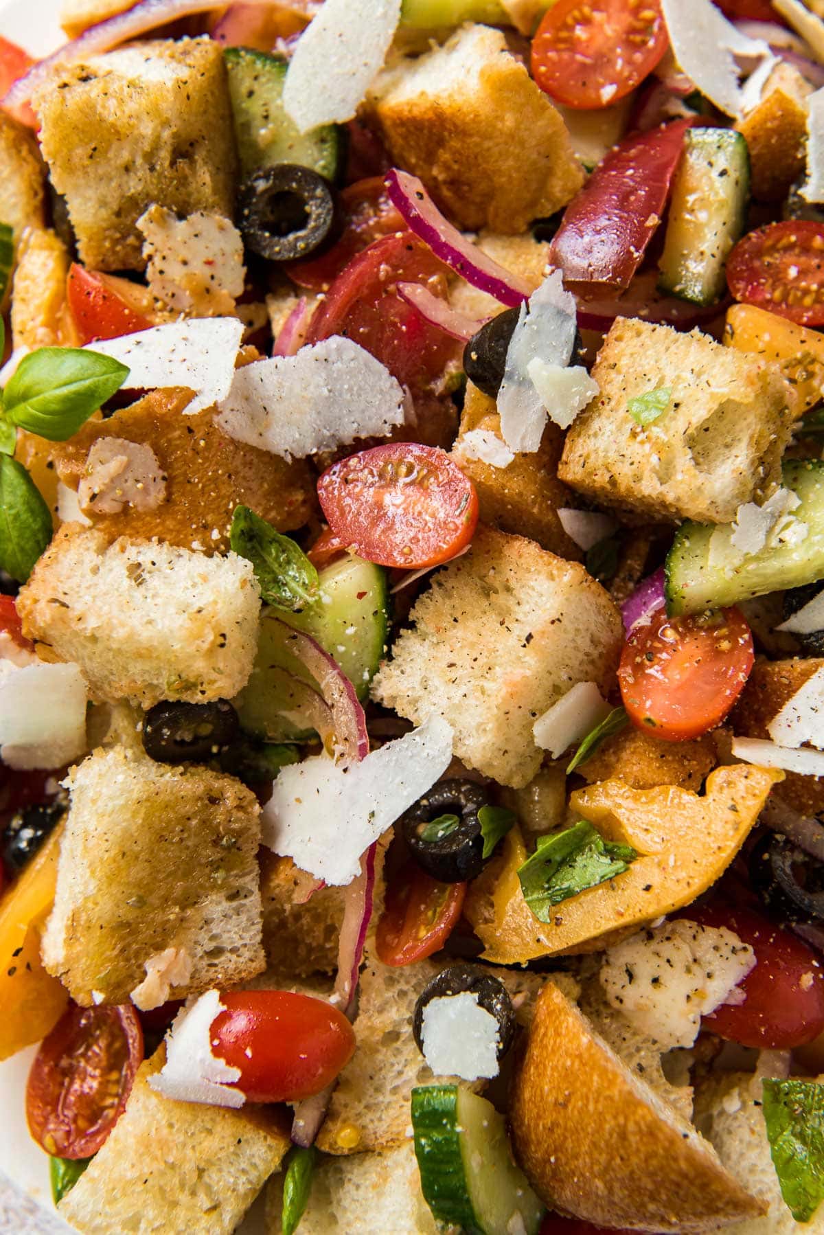 close up of bread salad with tomatoes and cucumber and olives
