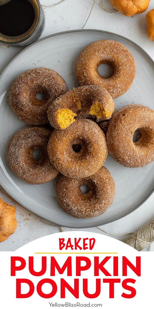 Baked Pumpkin Donuts are perfect the perfect fall treat! They are full of pumpkin spiced flavor, with a delicate cinnamon sugar coating.