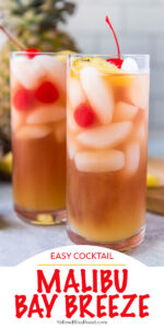 Malibu Bay Breeze Cocktail Yellowblissroad Com
