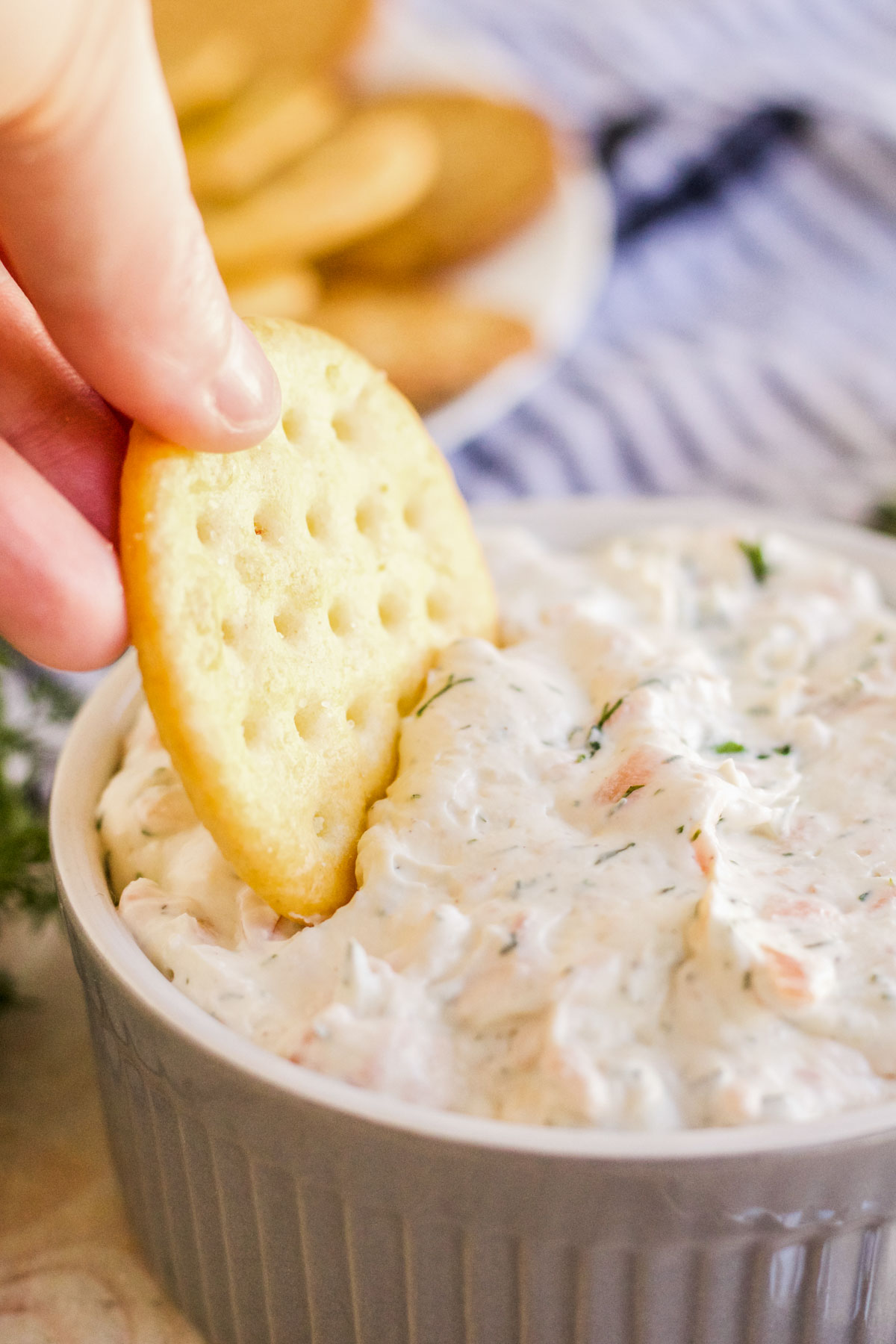 gray ramekin dish, smoked salmon dip, crackers, hand, blue and white striped napkin