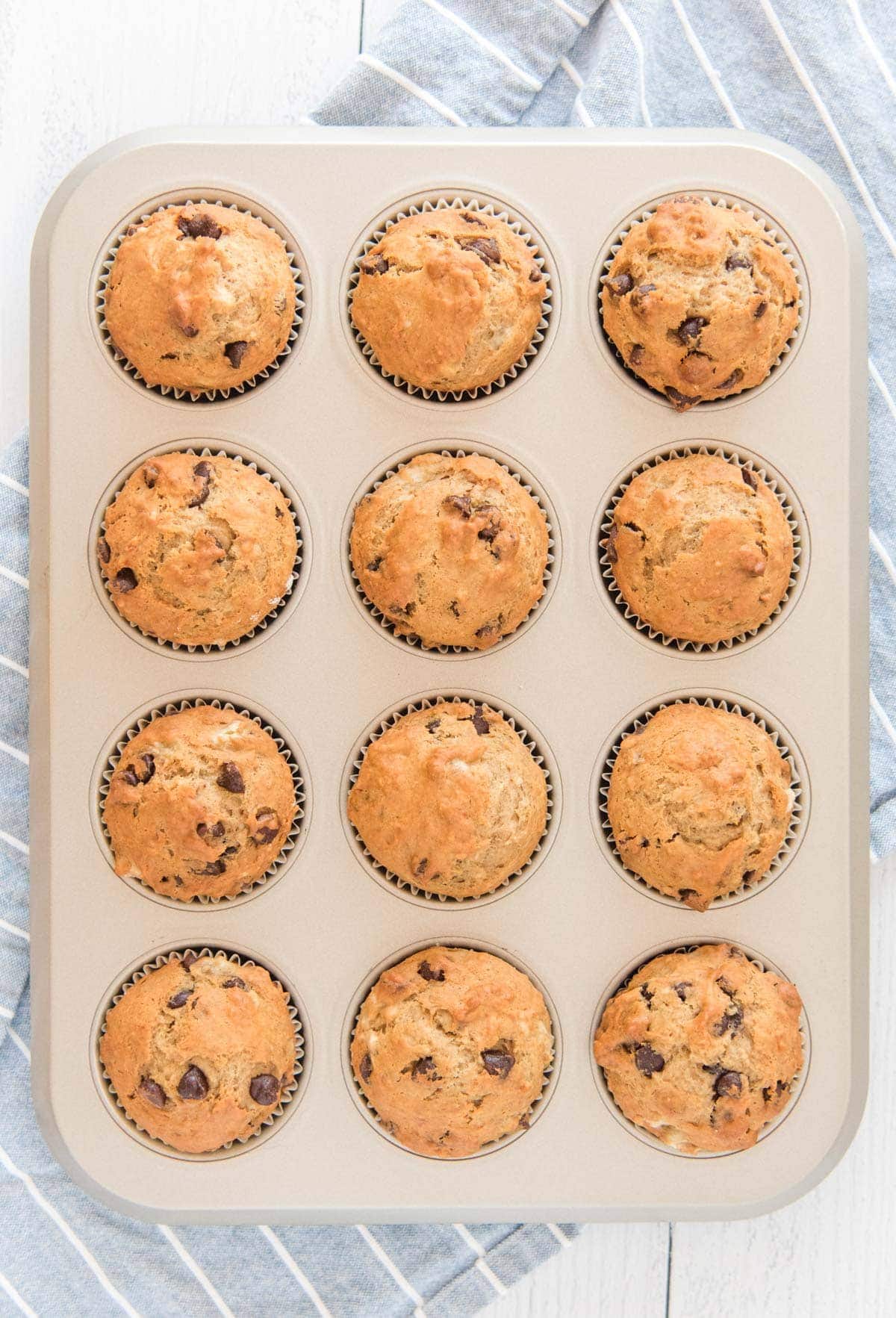 chocolate chip banana muffins in a muffin pan