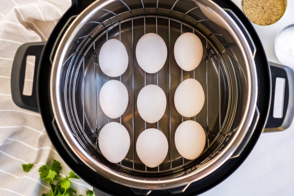 Instant Pot Boiled Eggs Without A Rack - Fast Food Bistro