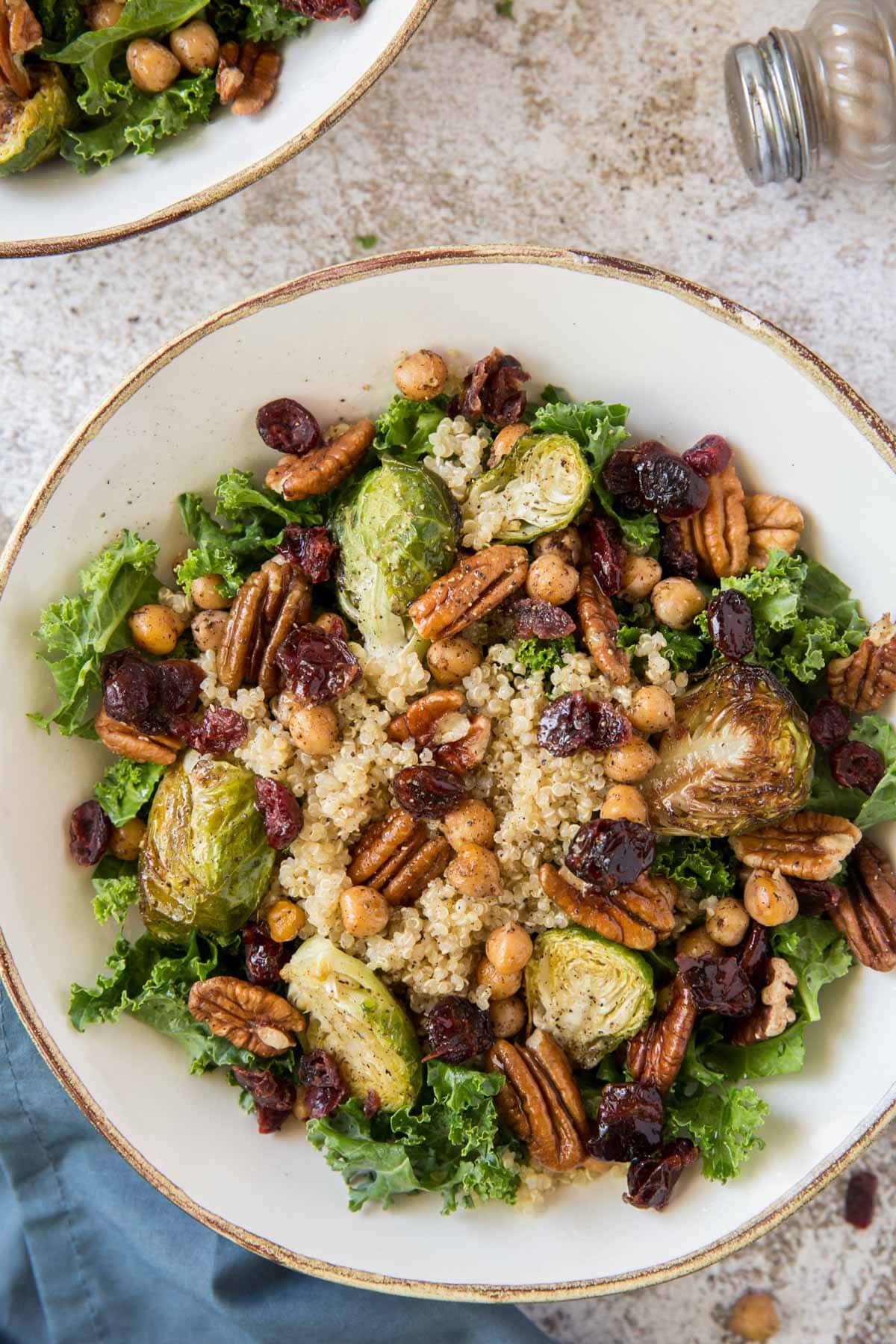 kale, pecans, brussels sprouts, cranberries, white plate, blue napkin