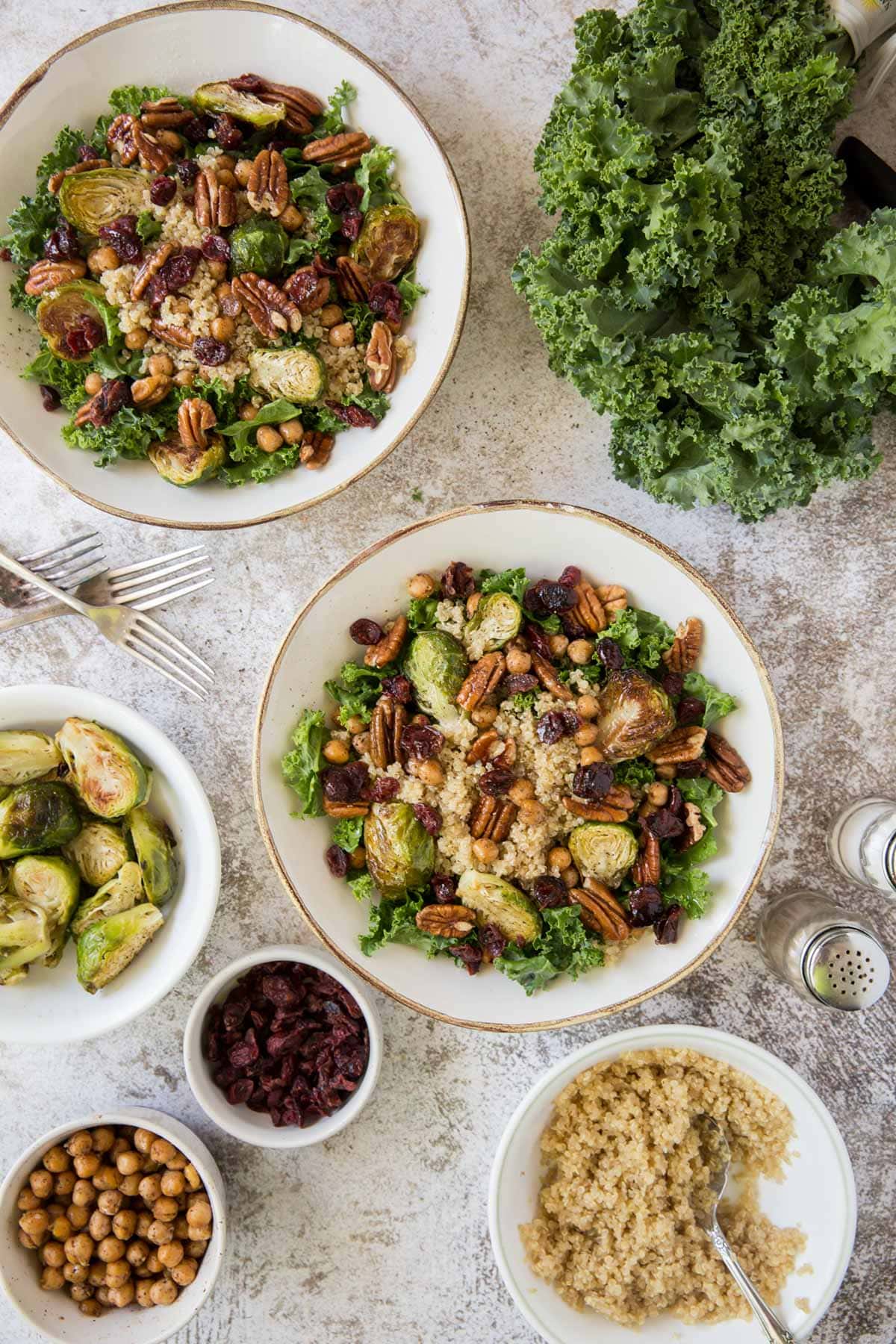 kale, pecans, brussels sprouts, cranberries, white plate, salt and pepper shakers, forks