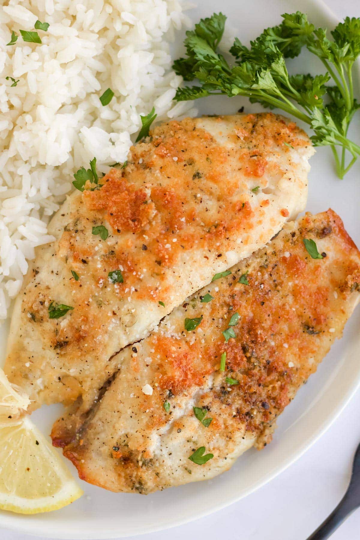 white plate, parmesan crusted tilapia, lemon slices, parsley