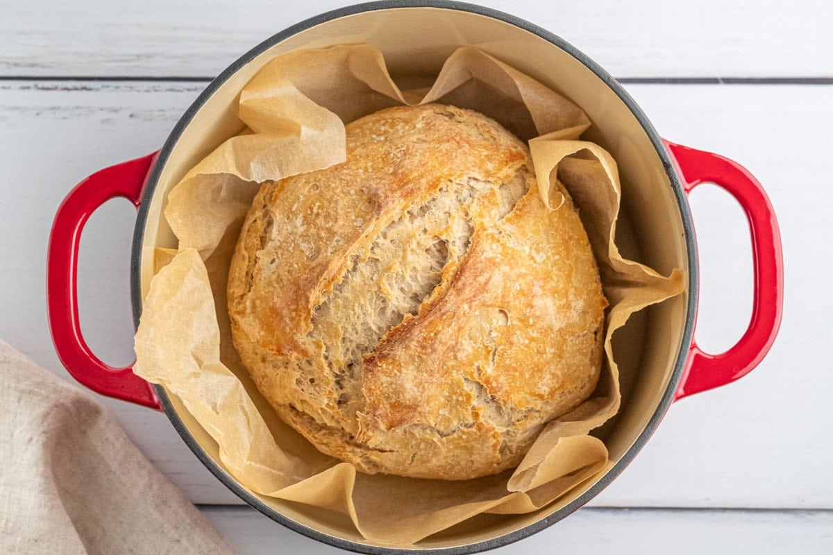 baked loaf of sourdough bread in a red dutch oven with parchment paper