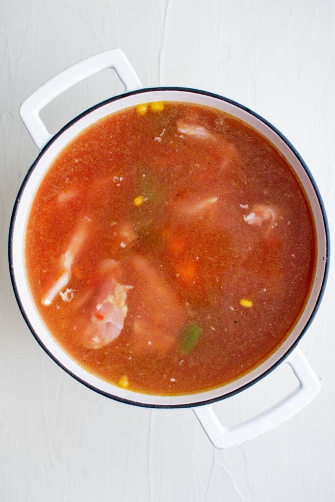 soup pot with tomato broth, raw chicken, vegetables