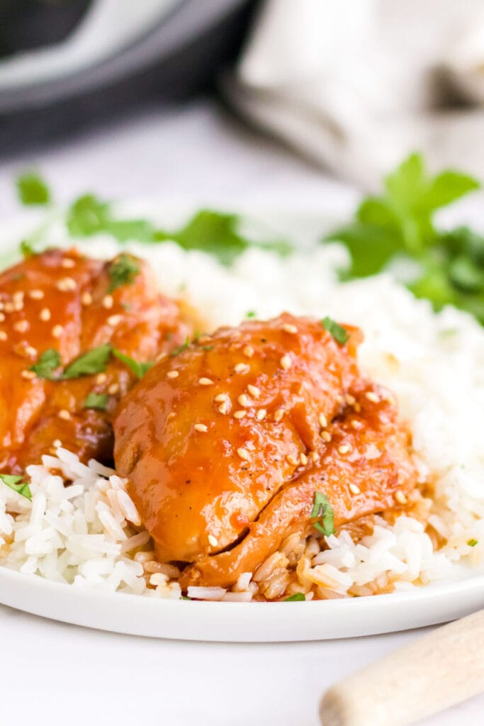 2 chicken thighs over a bed of rice