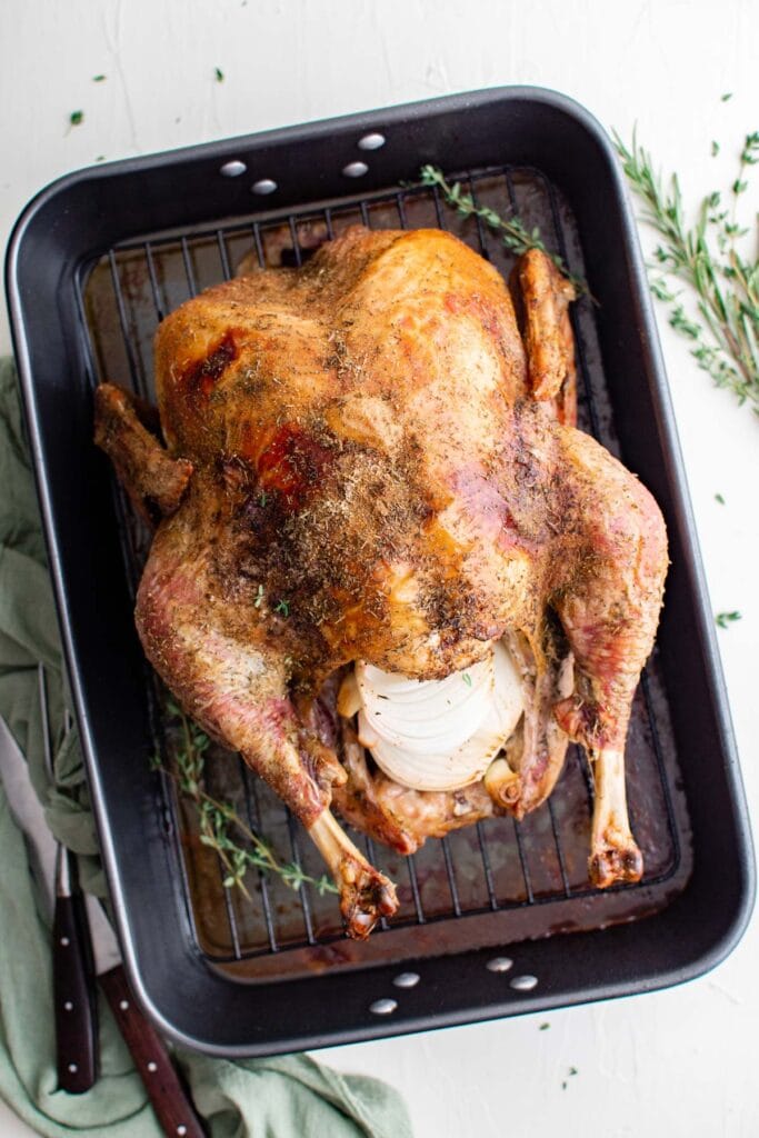 Thanksgiving turkey, roasted and stuffed with onions, in a roasting pan