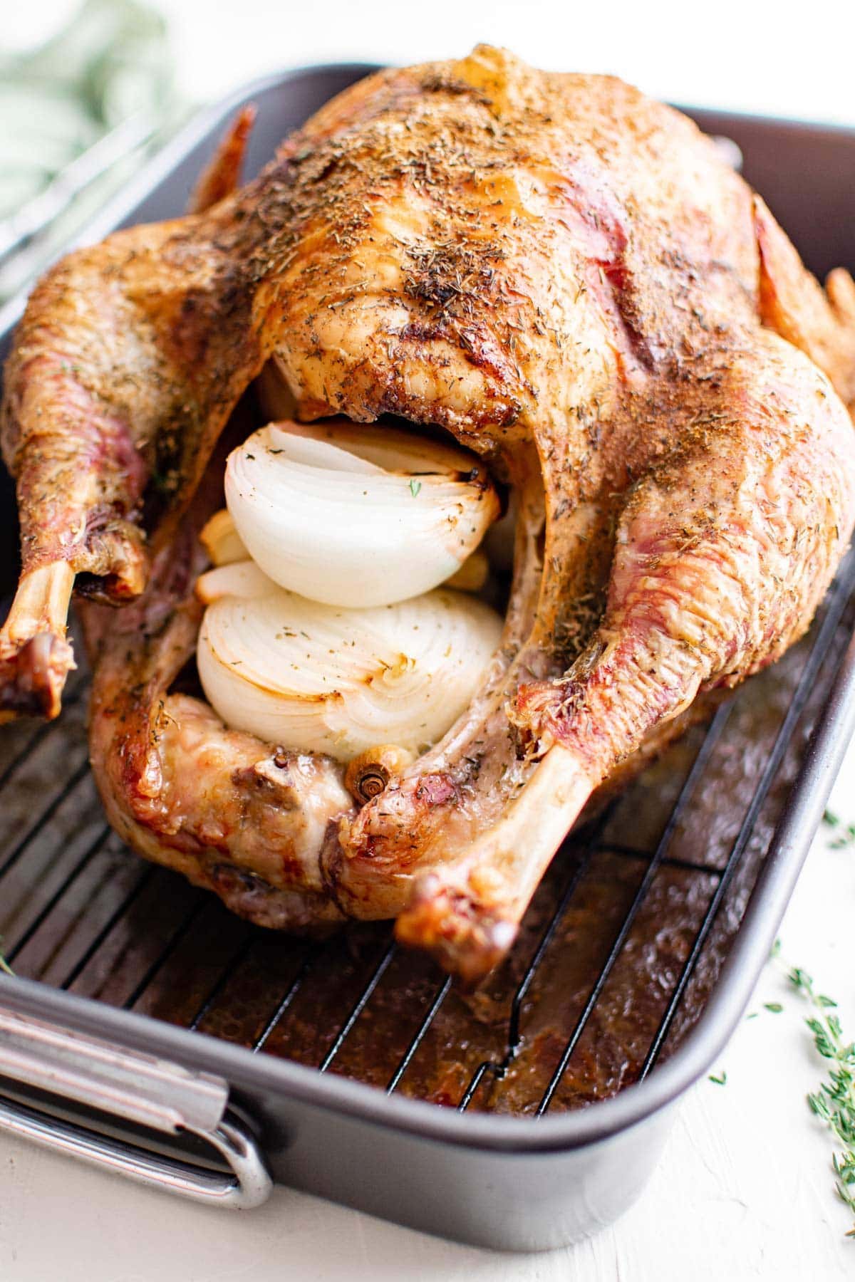 onions stuffed in a roast turkey in a roasting pan