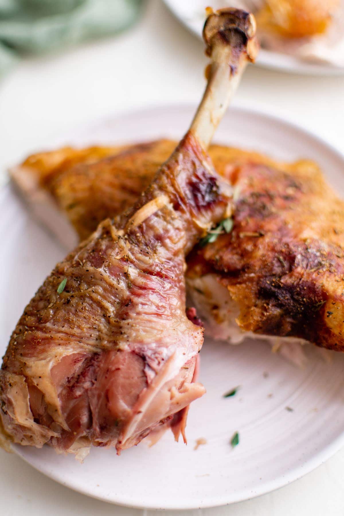 turkey leg and slice of breast meat on a white plate