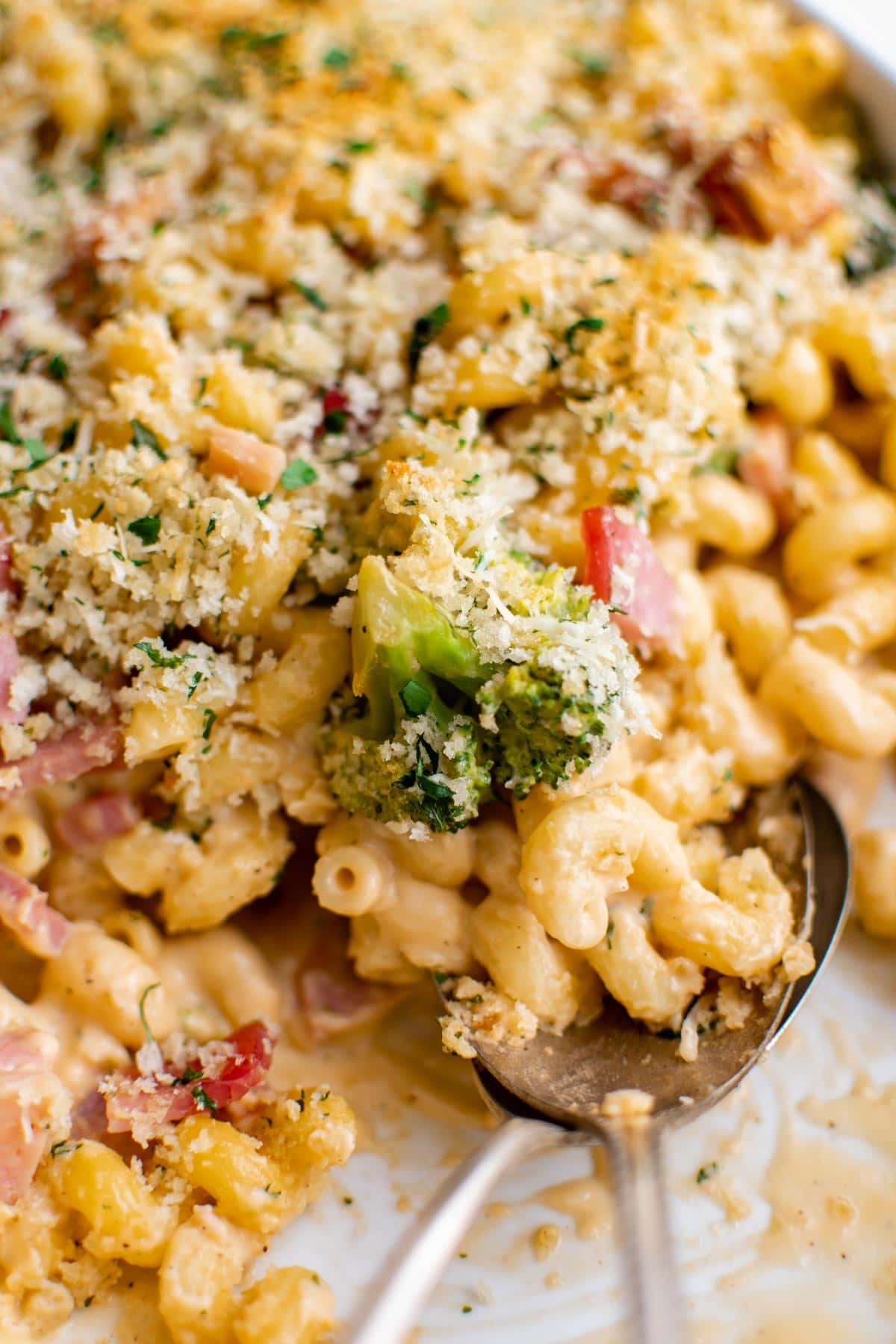 spoon with cheese, ham and noodle casserole