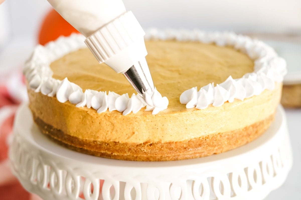 whipped cream being piped onto a pumpkin cheesecake