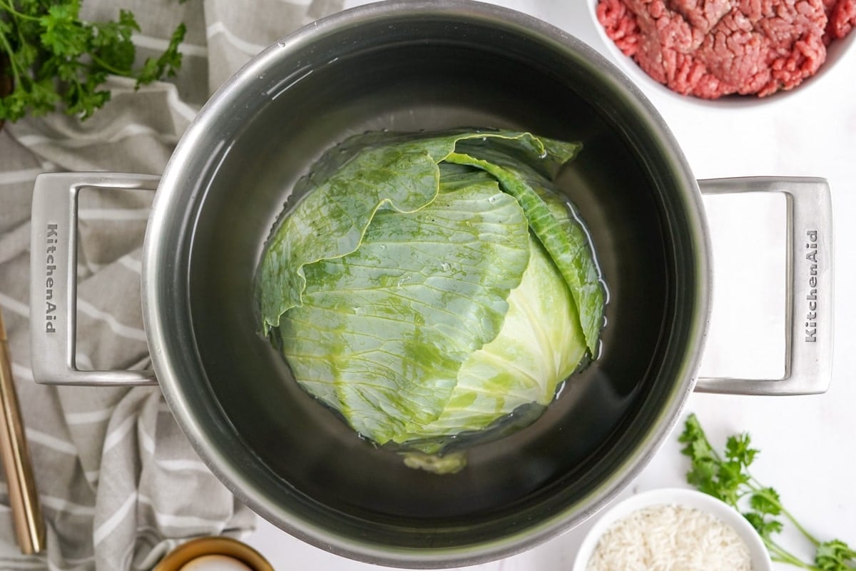 a head of green cabbage in a pot of water