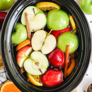 Slow Cooker Apple Cider (From Scratch!)