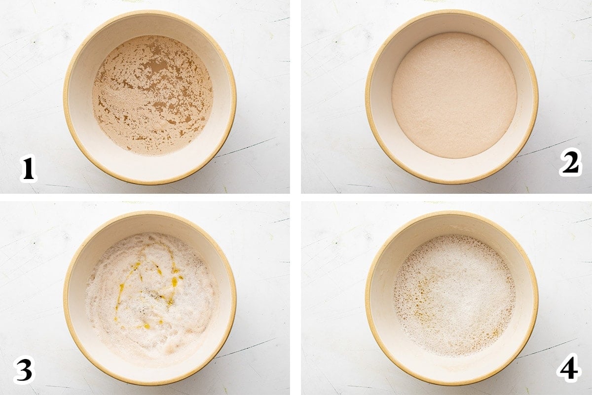 collage showing how to proof yeast for bread dough