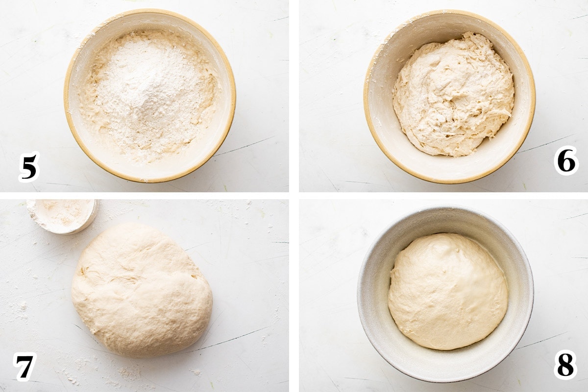 dough forming and rising, shown in collage of photos